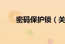 密码保护锁（关于密码保护锁介绍）