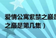 爱情公寓紫禁之巅是第几集的（爱情公寓紫禁之巅是第几集）