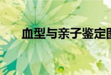 血型与亲子鉴定图（血型与亲子鉴定）