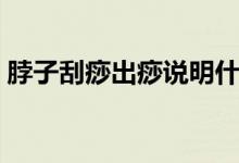 脖子刮痧出痧说明什么（刮痧出痧说明什么）