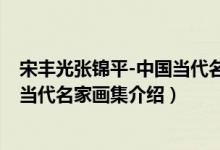 宋丰光张锦平-中国当代名家画集（关于宋丰光张锦平-中国当代名家画集介绍）