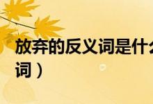 放弃的反义词是什么(最佳答案)（放弃的反义词）