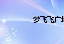 梦飞飞广场舞（梦飞飞）