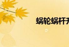 蜗轮蜗杆升降机（蜗轮）