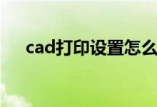 cad打印设置怎么调整（cad打印设置）