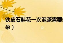 铁皮石斛花一次泡茶需要多少怎么吃（铁皮石斛花泡水喝几朵）