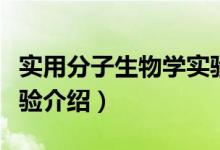 实用分子生物学实验（关于实用分子生物学实验介绍）