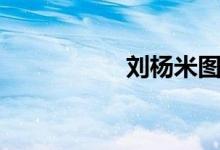 刘杨米图片（刘杨米）