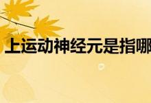 上运动神经元是指哪些（上运动神经元是指）