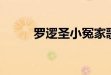 罗逻圣小冤家歌词（小冤家歌词）