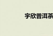 宇欣普洱茶博物馆（宇欣）