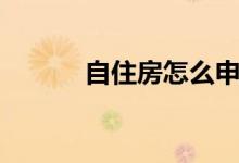 自住房怎么申请民宿（自住房）
