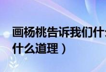 画杨桃告诉我们什么道理?（画杨桃告诉我们什么道理）