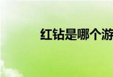 红钻是哪个游戏的(红钻代码)