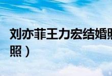 刘亦菲王力宏结婚照图片（刘亦菲王力宏结婚照）