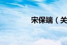宋保端（关于宋保端介绍）