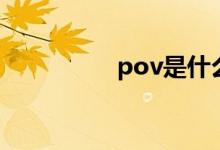 pov是什么意思（pov）