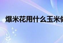 爆米花用什么玉米做（爆米花用什么玉米）