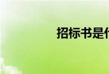 招标书是什么（招标书）
