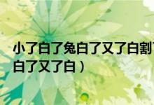 小了白了兔白了又了白割了静脉趴了皮剁成块（小了白了兔白了又了白）