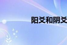 阳爻和阴爻怎么读（阳爻）