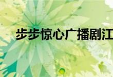 步步惊心广播剧江山（步步惊心广播剧）