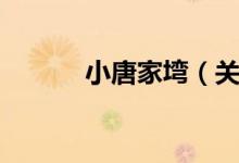 小唐家塆（关于小唐家塆介绍）