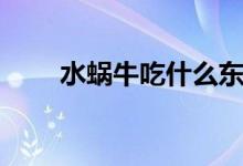 水蜗牛吃什么东西（水蜗牛吃什么）