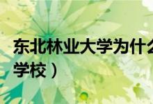 东北林业大学为什么厉害（东北林业大学垃圾学校）