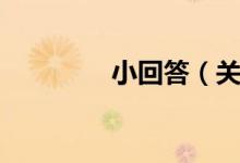 小回答（关于小回答介绍）