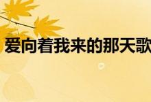 爱向着我来的那天歌词（爱向着我来的那天）