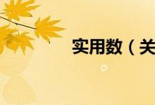 实用数（关于实用数介绍）