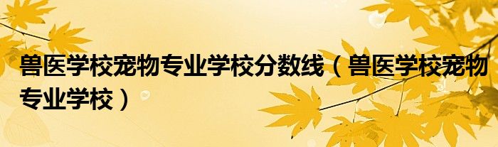 兽医学校宠物专业学校分数线（兽医学校宠物专业学校）