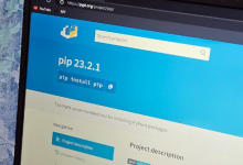 如何在 Windows 上安装 Pip