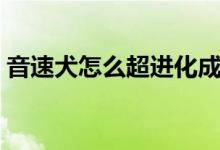 音速犬怎么超进化成风暴战犬（音速犬配招）