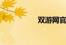 双游网官网(双游网)