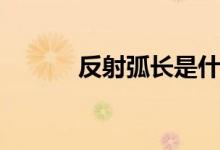 反射弧长是什么意思（反射弧）