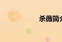 杀薇简介（杀薇吧）