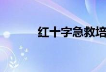 红十字急救培训（红十记牌器）