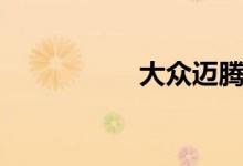 大众迈腾（大众淡腾）