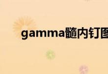 gamma髓内钉图片（gammasutra）