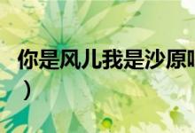 你是风儿我是沙原唱dj(你是风儿我是沙原唱)