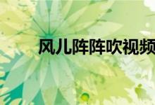 风儿阵阵吹视频（风儿阵阵吹歌曲）
