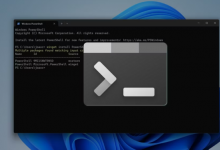 如何使用 Windows 终端