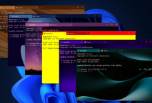 Windows Terminal Preview 1.19 现已推出