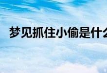 梦见抓住小偷是什么预兆（梦见抓住小偷）