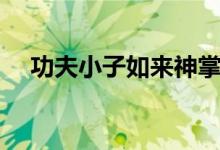 功夫小子如来神掌（功夫小子如来神掌）