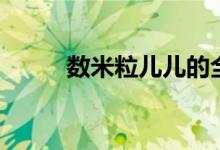 数米粒儿儿的全部作品（数米粒）