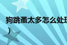 狗跳蚤太多怎么处理（狗狗跳蚤太多怎么去除）