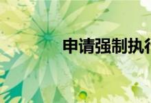 申请强制执行(申请米米号)